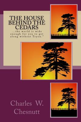 The House Behind the Cedars (Best Novel Classics #25)