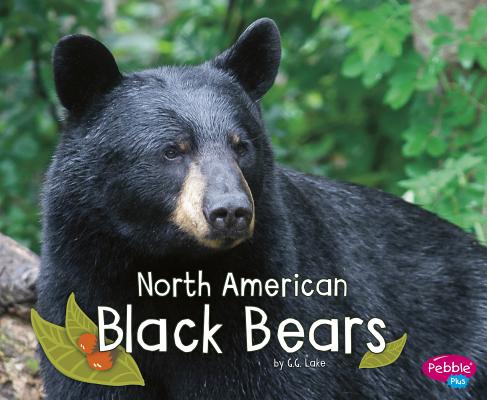 North American Black Bears (Woodland Wildlife) Cover Image