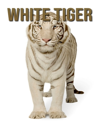 White Tiger: Amazing White Tiger Pictures Book for kids By Lara Mark Cover Image
