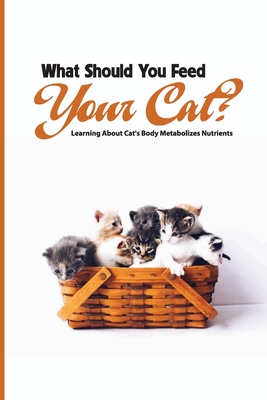 What Should You Feed Your Cat- Learning About Cat'S Body Metabolizes Nutrients: Cat Nutrition Requirements