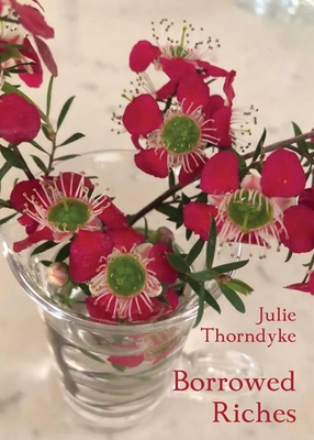 Borrowed Riches By Julie Thorndyke Cover Image