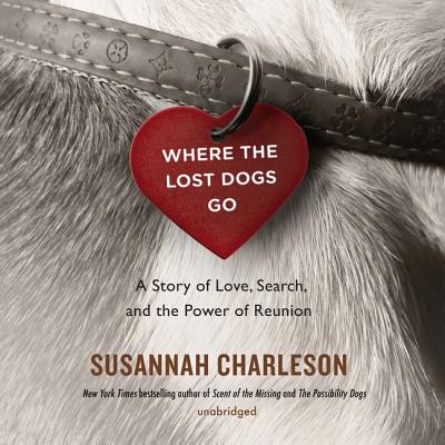 Where the Lost Dogs Go Lib/E: A Story of Love, Search, and the Power of Reunion Cover Image