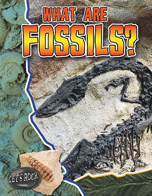What Are Fossils? (Let's Rock!) By Natalie Hyde Cover Image