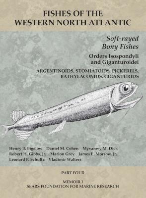 Soft-rayed Bony Fishes: Orders Isospondyli and Giganturoidei: Part 4 (Fishes of the Western North Atlantic) By Henry B. Bigelow, Daniel M. Cohen, Myvanwy M. Dick, Robert H. Gibbs, Marion Grey, James E. Morrow, Jr., Leonard P. Schultz, Vladimir Walters Cover Image