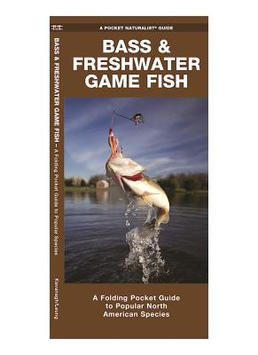 Bass & Freshwater Game Fish: A Folding Pocket Guide to Popular North American Species (Pocket Naturalist Guide) By James Kavanagh, Waterford Press, Raymond Leung (Illustrator) Cover Image