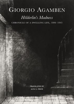 Hölderlin's Madness: Chronicle of a Dwelling Life, 1806–1843 (The Italian List) Cover Image