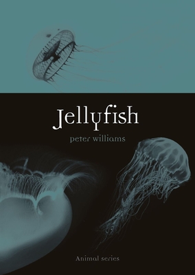 Jellyfish (Animal)