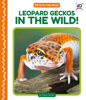 Leopard Geckos in the Wild! (Pets in the Wild!)