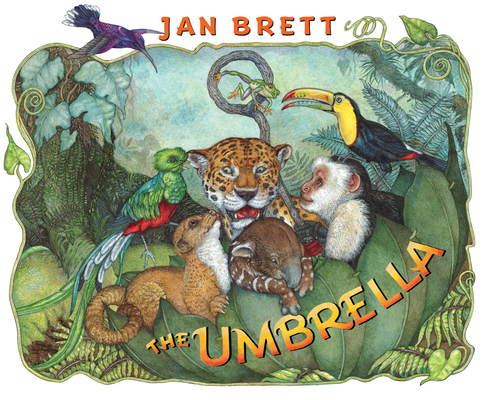 The Umbrella Cover Image