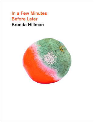 In a Few Minutes Before Later (Wesleyan Poetry) By Brenda Hillman Cover Image
