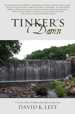Cover for Tinker's Damn