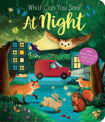 What Can You See? At Night By Kate Ware, Maria Perera (Illustrator) Cover Image