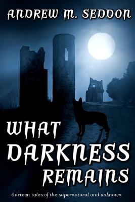 What Darkness Remains: Thirteen Tales of the Supernatural and Unknown Cover Image