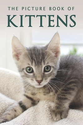 The Picture Book of Kittens: A Gift Book for Alzheimer's Patients or Seniors with Dementia By Sunny Street Books Cover Image
