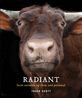 Radiant: Farm Animals Up Close and Personal (Farm Animal Photography Book) Cover Image