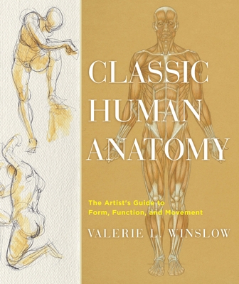 Classic Human Anatomy: The Artist's Guide to Form, Function, and Movement Cover Image