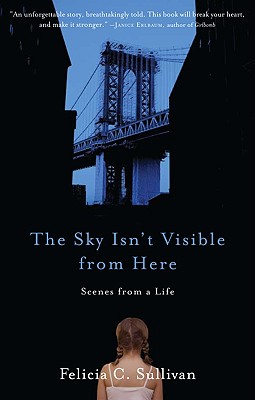 The Sky Isn't Visible from Here Cover
