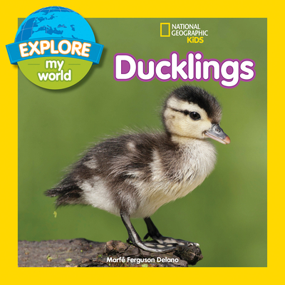 Explore My World: Ducklings By Marfe Ferguson Delano Cover Image