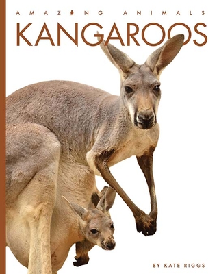 Kangaroos (Amazing Animals) By Kate Riggs Cover Image