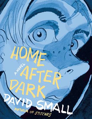 Home After Dark: A Novel