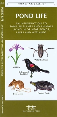 Southern Appalachian Birds: An Introduction to Familliar Species Cover Image
