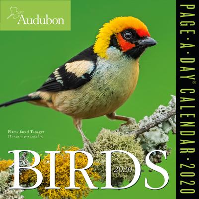Audubon Birds Page-A-Day Calendar 2020 Cover Image