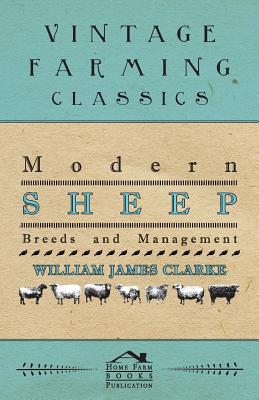 Modern Sheep - Breeds and Management By William James Clarke Cover Image