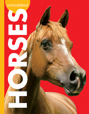 Curious about Horses (Curious about Pets) By Jill Sherman Cover Image