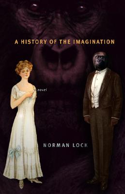 Cover for A History of the Imagination