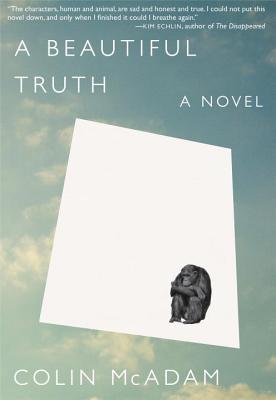 A Beautiful Truth Cover