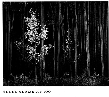 Ansel Adams at 100