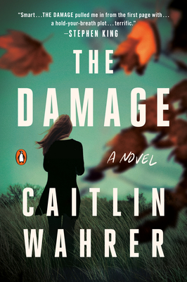 The Damage: A Novel Cover Image