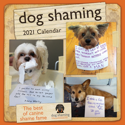 Dog Shaming 2021 Wall Calendar By Pascale Lemire, dogshaming.com Cover Image