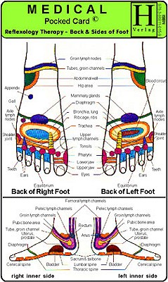 Reflexology Therapy, Back & Sides of Foot (Medical Pocket Card) Cover Image