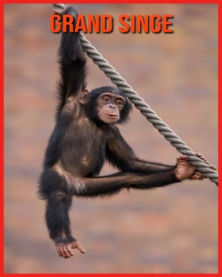 Grand Singe: Images Incroyables et Informations Amusantes concernant les Grand Singe Cover Image