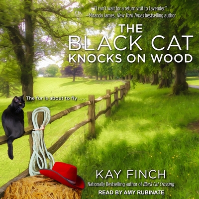 The Black Cat Knocks on Wood Lib/E By Kay Finch, Amy Rubinate (Read by) Cover Image