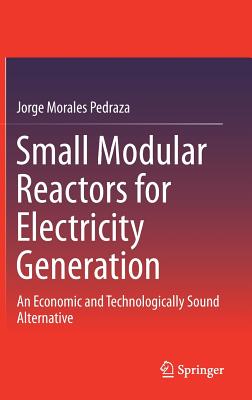 Small Modular Reactors for Electricity Generation: An Economic and Technologically Sound Alternative Cover Image