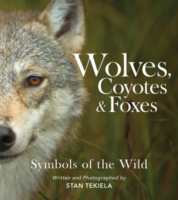Wolves, Coyotes & Foxes: Symbols of the Wild By Stan Tekiela Cover Image
