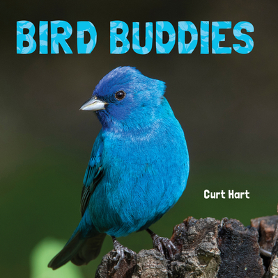 Bird Buddies Cover Image