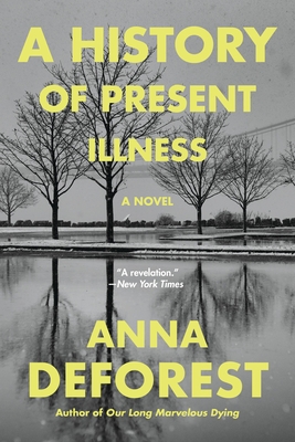 A History of Present Illness: A Novel Cover Image