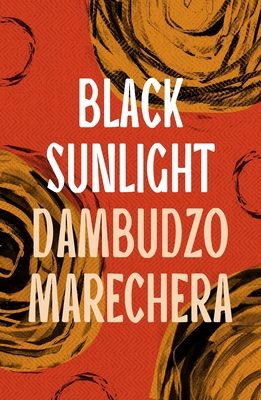 Black Sunlight Cover Image