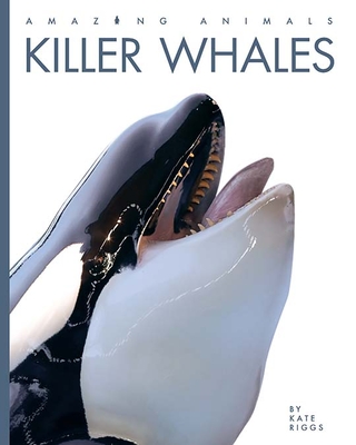 Killer Whales (Amazing Animals)