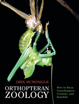 Orthopteran Zoology: How to Keep Grasshoppers, Crickets, and Katydids