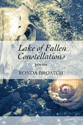 Cover for Lake of Fallen Constellations