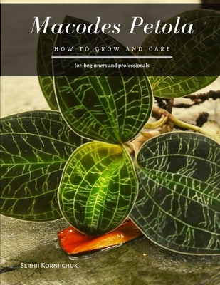 Macodes Petola: How to grow and care By Serhii Korniichuk Cover Image