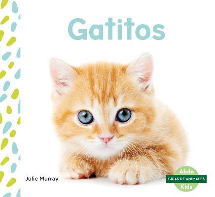 Gatitos (Kittens) (Library Binding) | Carmichael's Bookstore