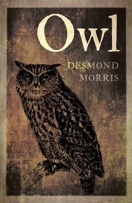 Cover for Owl