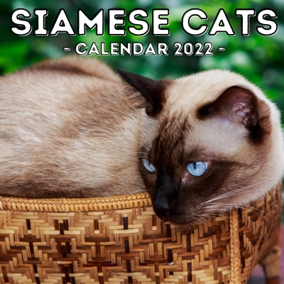Siamese Cats Calendar 2022: 16-Month Calendar, Cute Gift Idea For