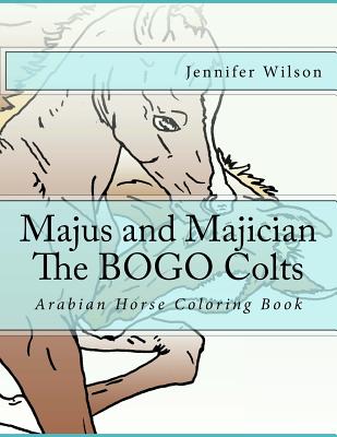 Cover for Majus and Majician Twin Colts Coloring Book: Horse Coloring Fun