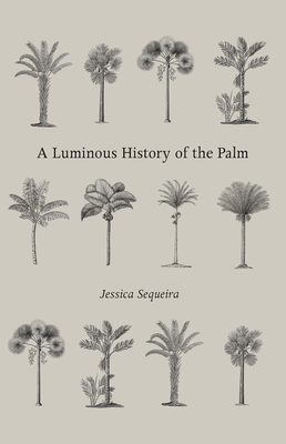 A LUMINOUS HISTORY OF THE PALM - By Jessica Sequeira